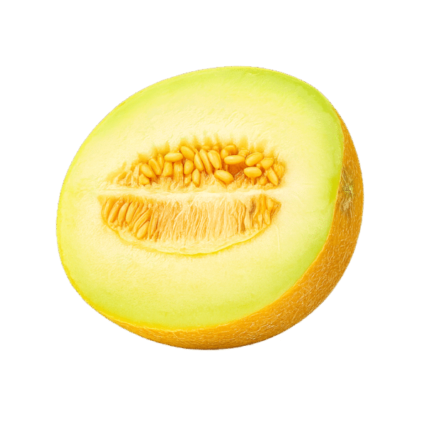خربزه تازه درجه یک