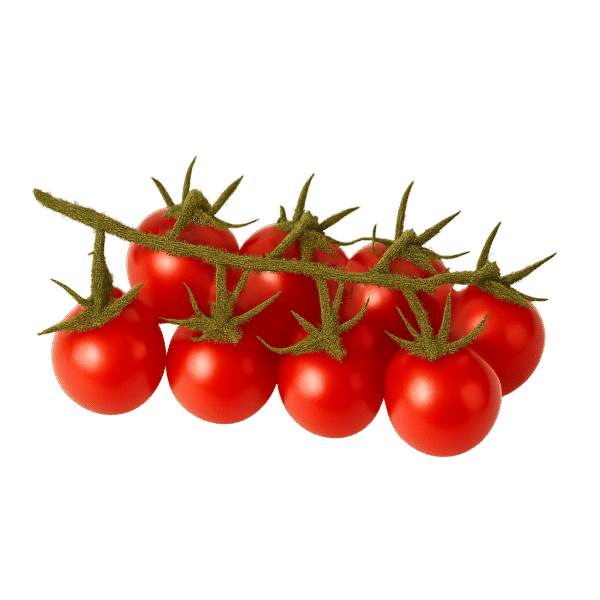 گوجه خوشه ای گیلاسی درجه یک